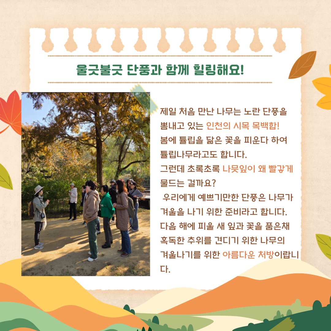 인천대공원 가을 생태로드 (성인들을 위한 생태수업)