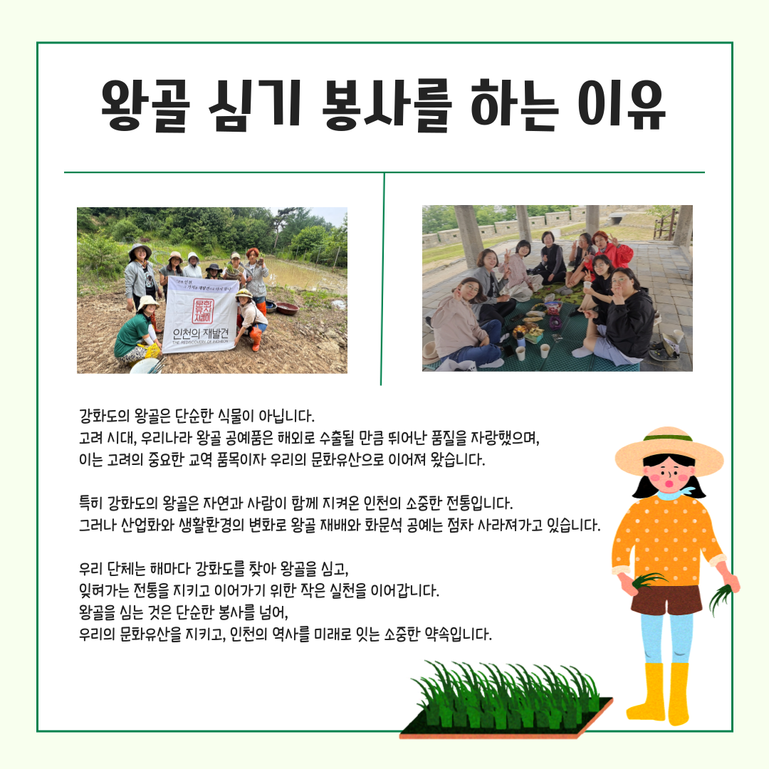 자원봉사 다녀왔어요(왕골심기)