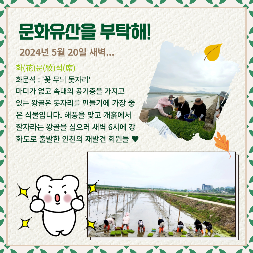 자원봉사 1._강화도